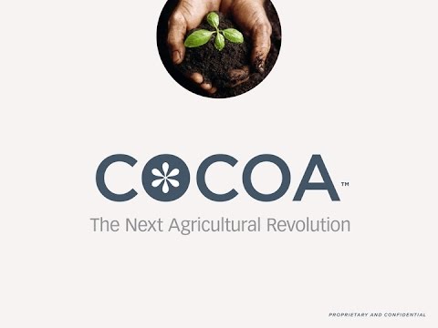 Cocoa Logo: The Next Agricultural Revolution